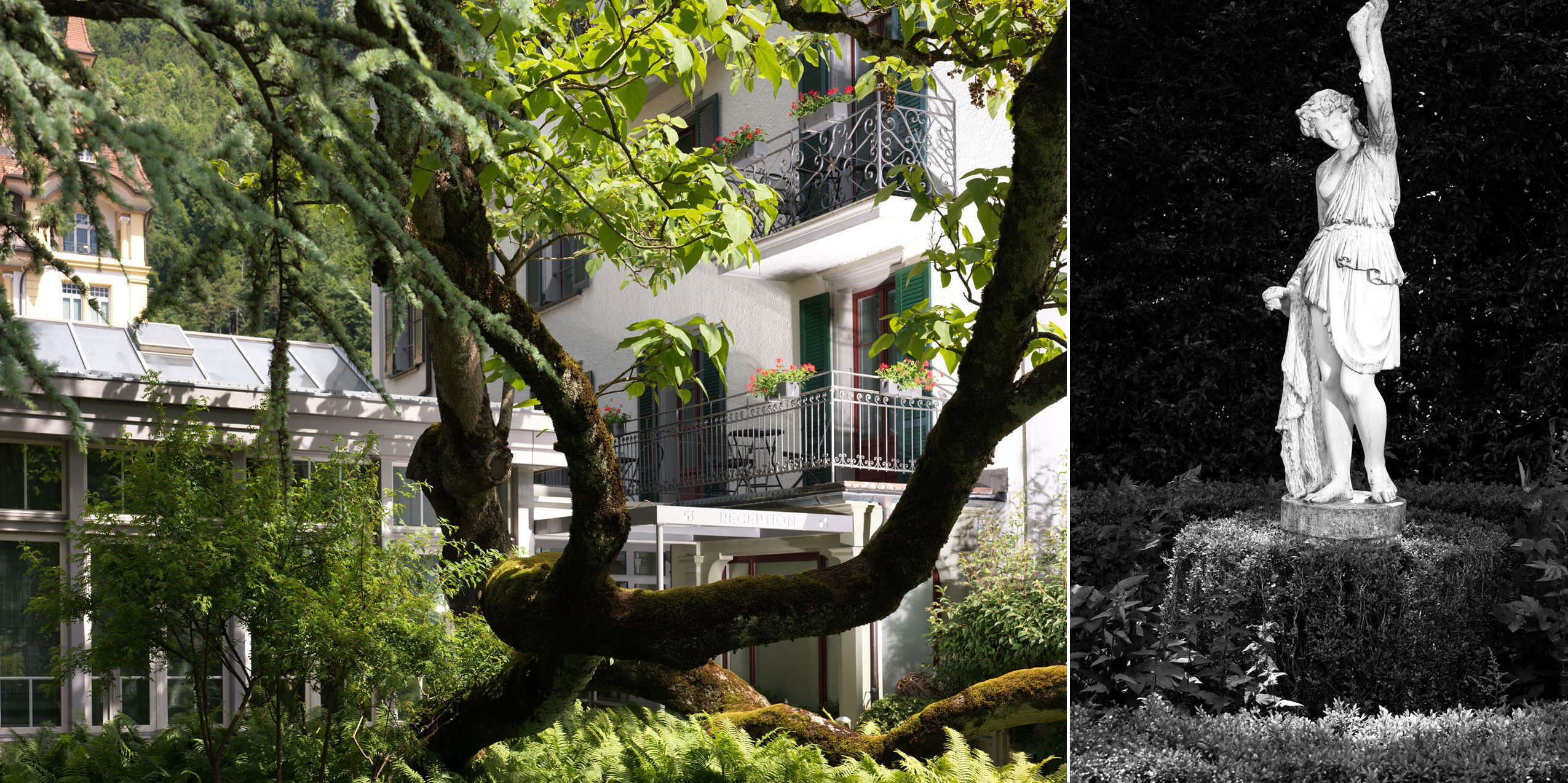Ein grüner Garten mit einem großen, moosbewachsenen Baum vor einem weißen Gebäude mit Balkonen, daneben ein Schwarzweißfoto einer klassischen Statue einer Frau mit erhobenem Arm, umgeben von Laub.