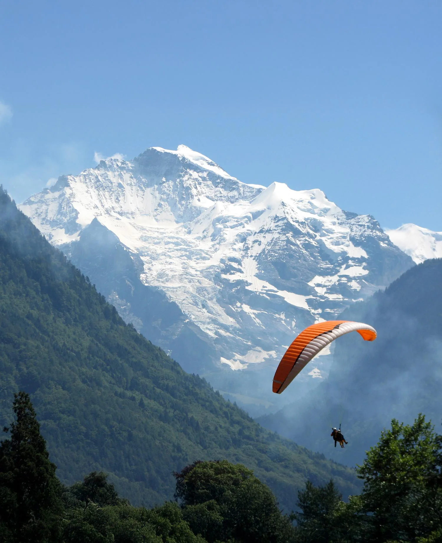 Eine Person gleitet mit einem orangefarbenen Schirm über ein grünes, bewaldetes Tal, mit schneebedeckten Bergen und einem klaren blauen Himmel im Hintergrund.