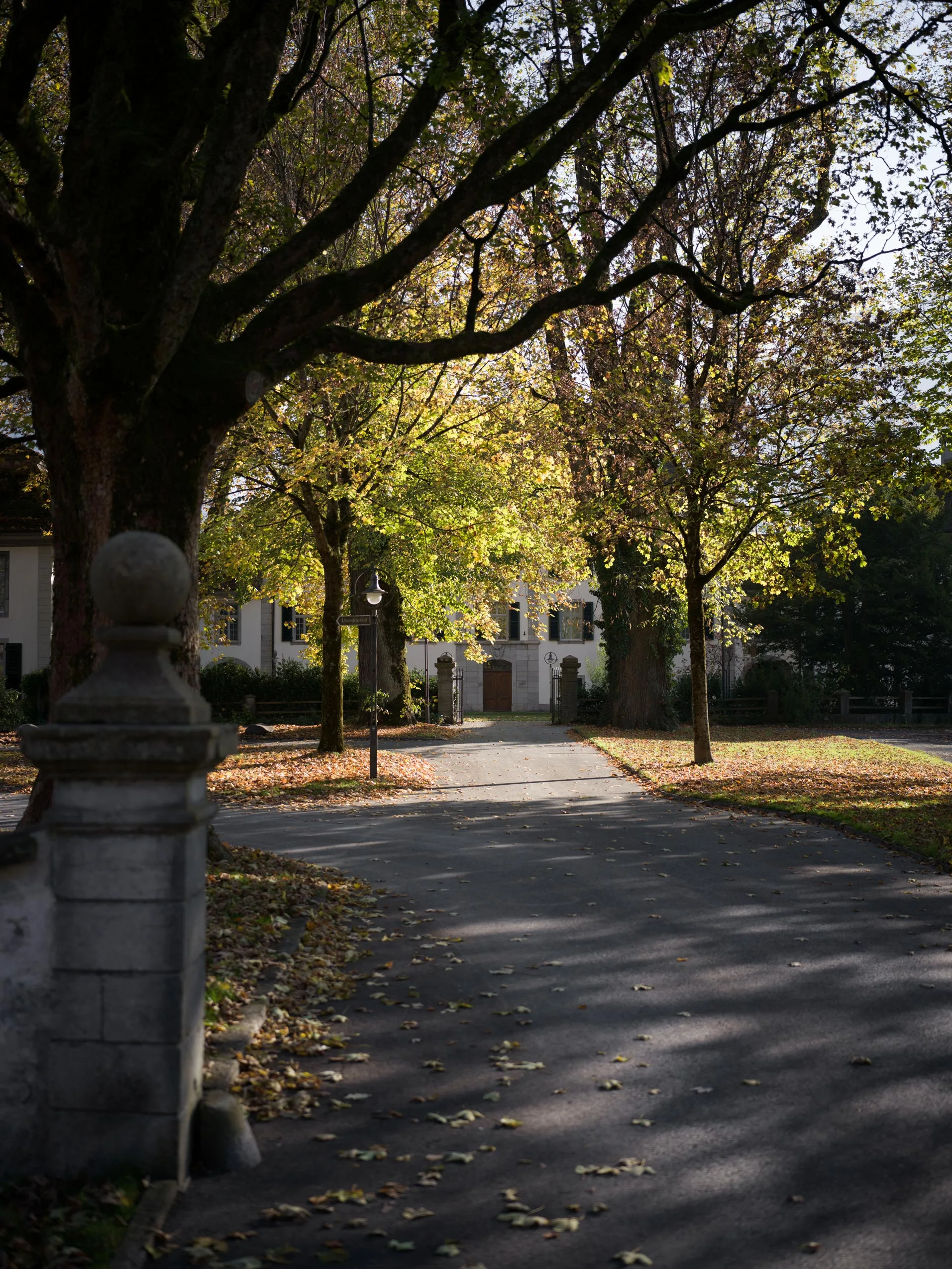 Ein gepflasterter, von Bäumen gesäumter Weg führt zu einem weißen Gebäude. Herbstlaub bedeckt den Boden, und Sonnenlicht fällt durch die Äste und wirft gesprenkelte Schatten auf den Weg. Im Vordergrund steht ein Steinpfosten.