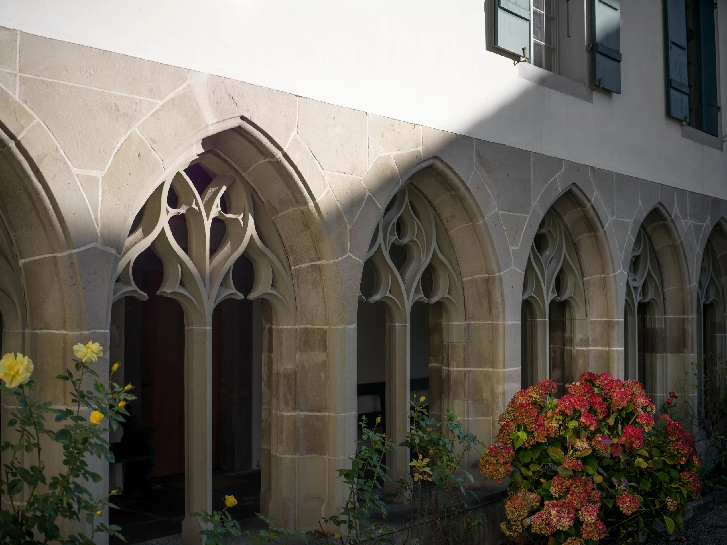 Eine Reihe steinerner Bogenfenster im gotischen Stil mit kunstvollem Maßwerk in einem hellen Gebäude. Vor den Fenstern wachsen blühende Pflanzen, darunter gelbe Rosen und rosa Hortensien. Sonnenlicht wirft diagonale Schatten an die Wand.