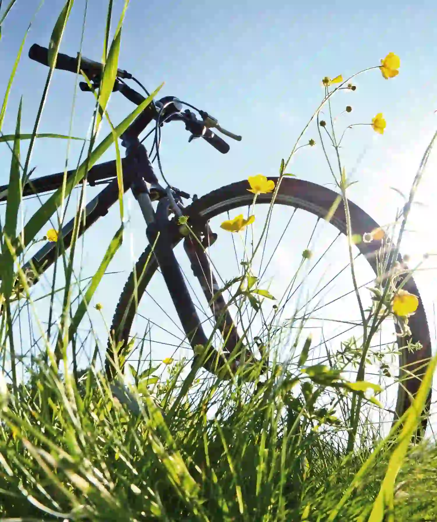 Ein Fahrrad steht im hohen grünen Gras mit gelben Wildblumen, aus einem niedrigen Winkel unter einem klaren blauen Himmel gesehen, durch den das Sonnenlicht strömt.