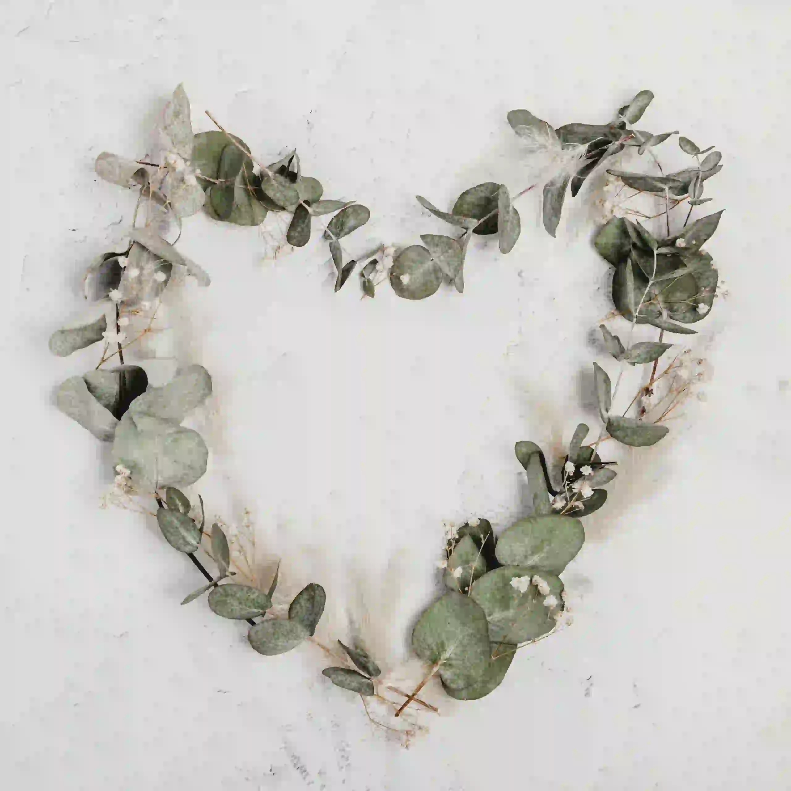 Herzförmiger Kranz aus Eukalyptusblättern, weißen Schleierkrautblüten und Pampasgras, arrangiert auf einer leicht strukturierten Oberfläche - perfekt, um den Valentinstag mit einem Hauch von natürlicher Eleganz zu feiern.